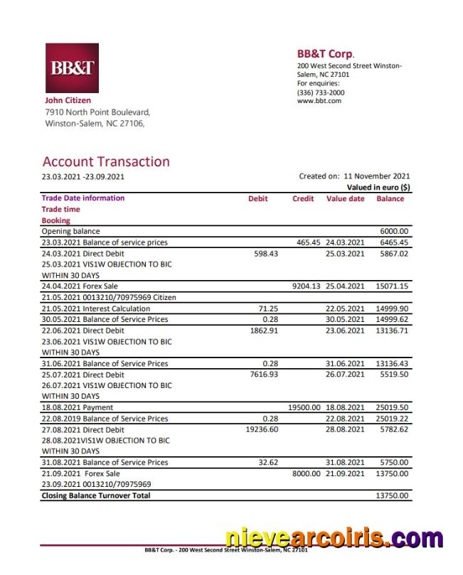 USA North Carolina BB&T Corp. bank statement in Excel and PDF format